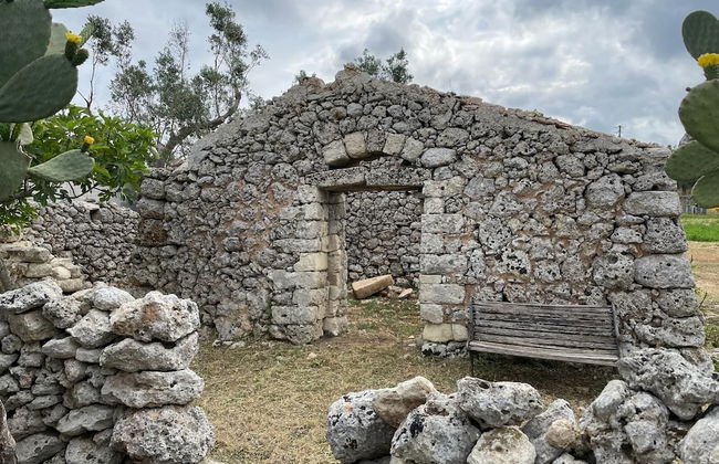 Tenuta Cursano - Foto 47