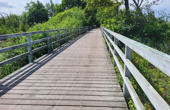 House in Gaski Near Baltic Lighthouse - Foto 33