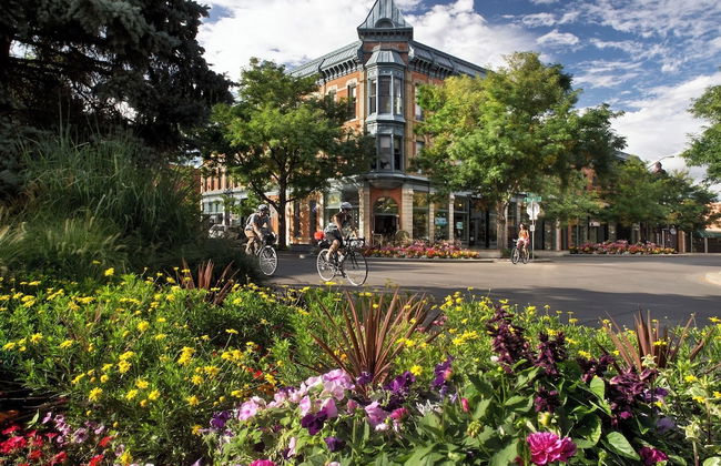Lee Martinez Loft Near Poudre Trail and Old Town - Foto 20