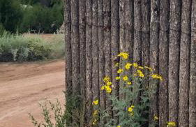 Santa Fe Modern FARMHOUSE 1 ACRE PRIVATE RD SOAKING ROOM 3 min Canyon rd - Foto 38