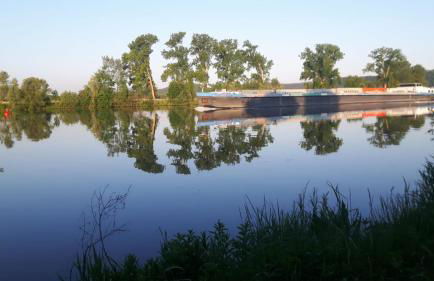 Apartment Schweich-Issel Familie Lentes NEU RENOVIERT - Foto 36