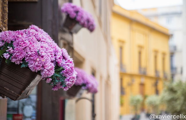 Cisneros Flat - Foto 17