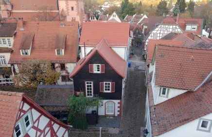 Rosenbalkon - Photo 10