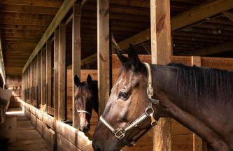 Farmhouse of Blessings - Foto 72