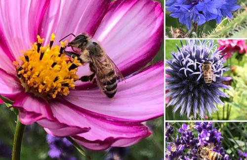 Whittlewood Shepherd's Hut in Silverstone, Cosy, Rural, Views - Photo 32