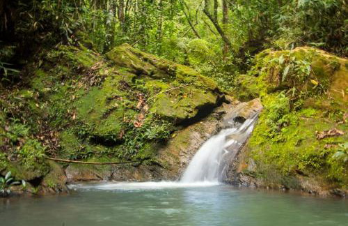 Pousada Suçuarana - Photo 11