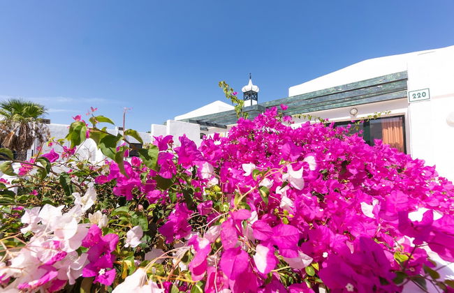 Bitácora Lanzarote Club - Photo 43