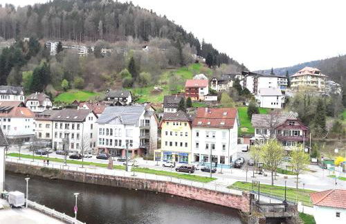 Ferienwohnung Enzblick - Foto 14