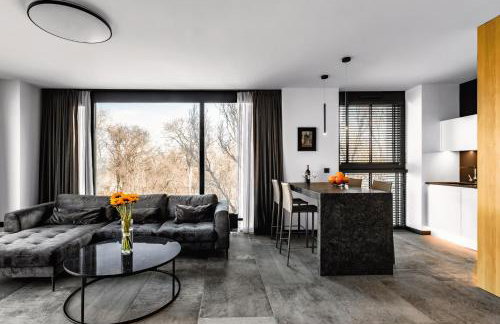 PLATiNIUM RESIDENCE&SPA BASEN-SAUNA "BEST VIEW" CENTER - Foto 7