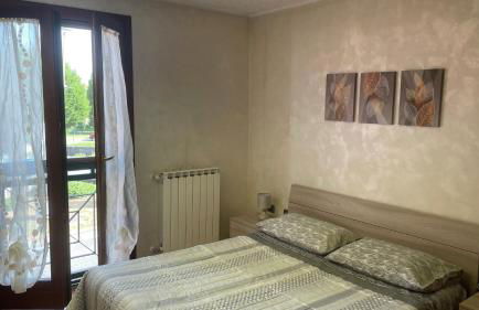 Rose e Frutta - Yellow Daisy - Foto 14