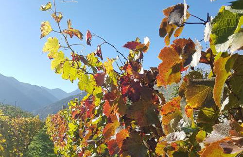 WEINBERG APARTMENTS with Brixen Südtirol Card - Photo 47