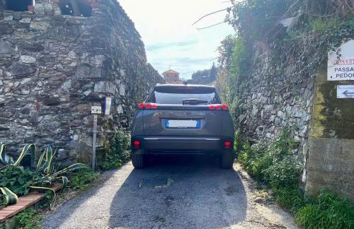 Cà Teodoi (citra 010025-LT-4173) - Photo 18