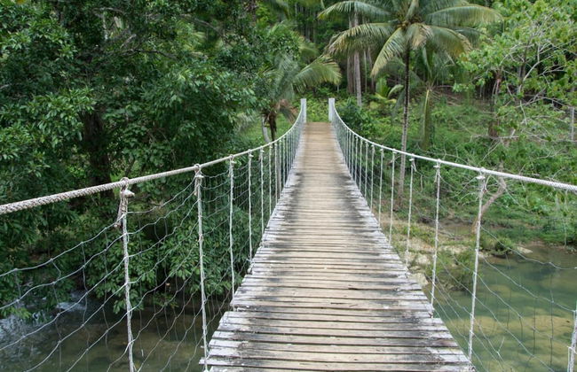 Alaia Studios - Foto 47