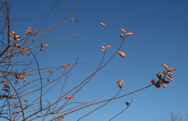 Recanto do Encanto Eco Beach Stay - Foto 37