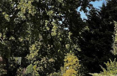 Hideaway am Plessower See - Foto 17