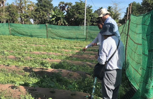 Madam Sokha Homesteading - Foto 74