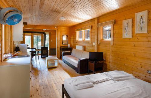 Zeus-Village οικισμός φινλανδικών chalet με πισίνες & γυμναστήριο - Foto 68