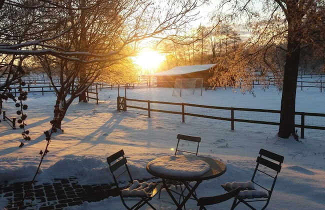 Ferienhof Trapp Heuhotel - Foto 22