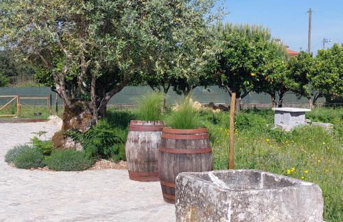 Adega D'Aldeia com piscina e jacuzzi - Foto 9