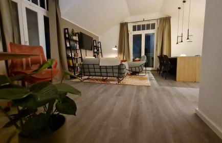 Penthouse in Villa am Wasser + Parken + WLAN + Netflix +Kamin - Foto 9