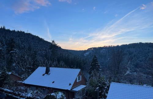 Cozy apartment with a Black Forest view - Foto 12