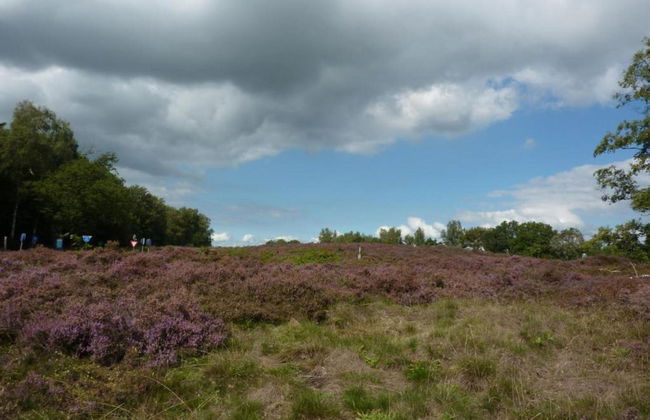 Tranquil Stay in Drenthe - Photo 33