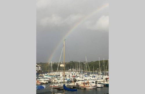 Maison près de la Pointe du Raz - Foto 54