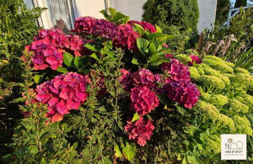 Einzigartige Ferienwohnung -hier im jetzt- - Foto 47