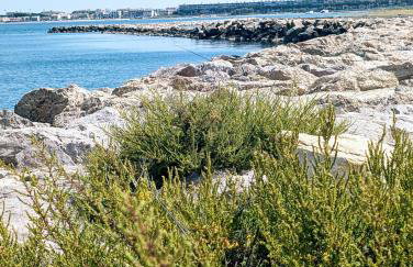 Les Spas de la mer, Appart&Spa Canopée, 100m de la plage, Love Room - Foto 51