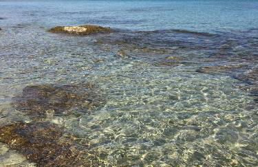 Villa sul mare Rosa Marina - Foto 39