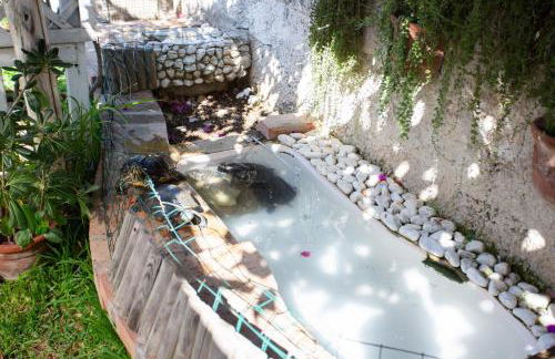 Casa Tartaruga - Foto 16