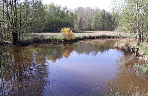 Dworska Zagroda - Foto 47