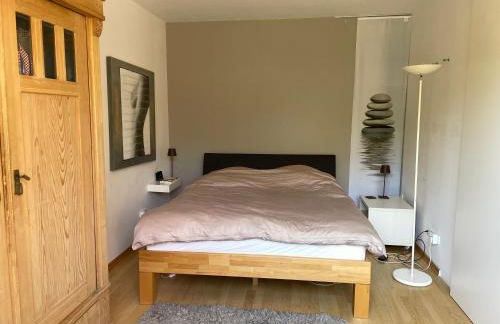 Messe- und Ferienwohnung mit Dachterrasse am Fluss - Foto 10