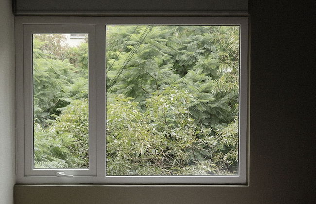 RIO ELBA by Mr. W - Foto 2