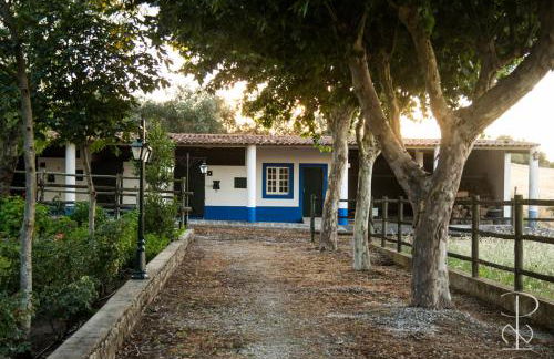 Quinta do Poço Novo - Foto 71