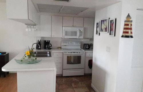 Florida Condos on Lake Tarpon - Foto 75