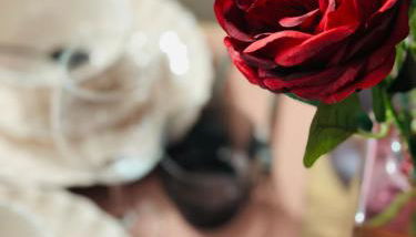 Le Velvet - Rennes - Photo 4