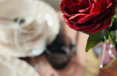 Le Velvet - Rennes - Photo 4