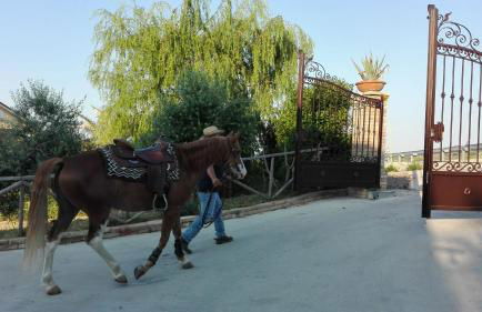 Casale Vittoria Atri - Foto 21