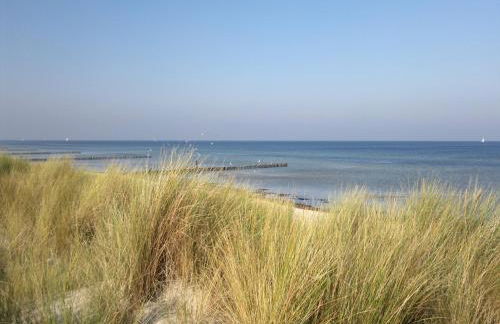 Boutique Bungalow in Insel Poel With Terrace - Foto 26