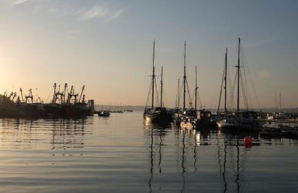 Quirky fisherman's cottage by the sea in Brixham - Photo 48