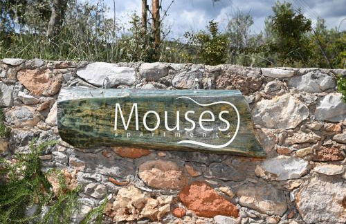 Mouses Apartments-Kardamyli - Foto 70