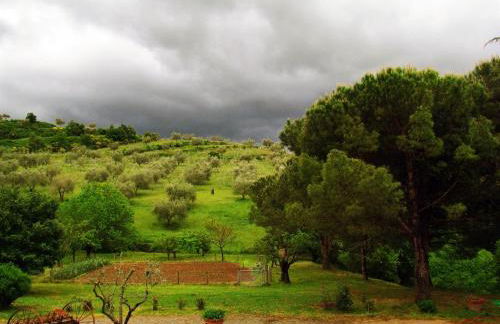 Agriturismo Le Roghete - Foto 19