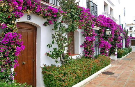 Macdonald Villacana Club Resort - Photo 72