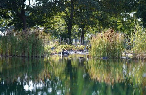 Traumkrone Ferienwohnungen - Wiesengrün - Foto 18