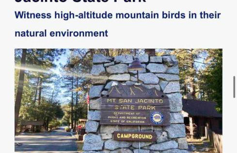 Blissfully Wild -with Hot Tub and pets are welcome - Foto 17