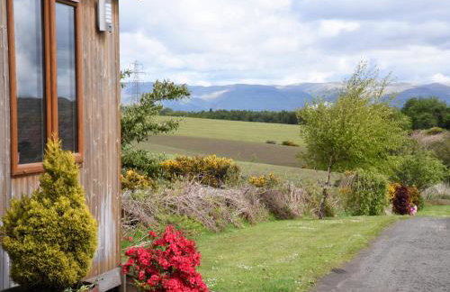 Carr's Hill Luxury Safari Tents - Photo 16