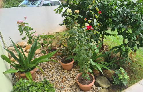 PRAIA DE 4 ILHAS Apartamento 2 Quartos 50M da Praia Com Vista - Photo 29