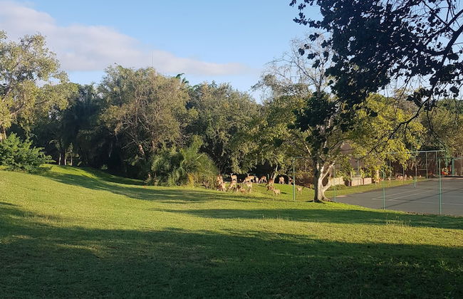 Kruger Park Lodge - Photo 30