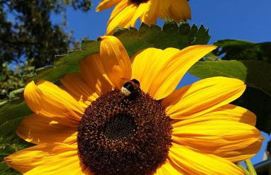 Ferienwohnung Simmering - Foto 6